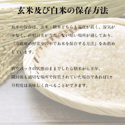 【令和5年産玄米・真空パック・有機JAS認証】あさひかわ産 ななつぼし玄米 2kg×3袋_03124