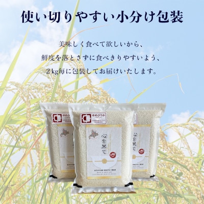 【令和5年産無洗米真空パック・特別栽培】あさひかわ産 ゆめぴりか 2kg×3袋 小分袋付_03137