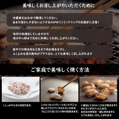 【北海道旭川市】「炭や 塩ホルモン」150g×5パック(豚ホルモン)_00105