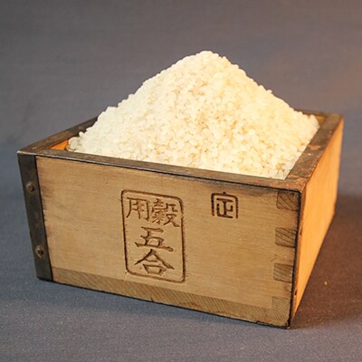 【令和6年産米】”無洗米”もっちり美味しい!おぼろづき5kg_00429