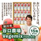 Vegemix(ベジミックス)〔190g×15缶〕ギフト_00686