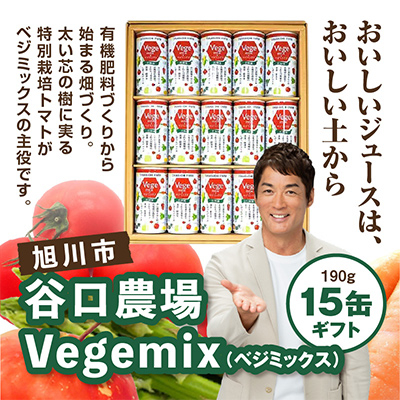 Vegemix(ベジミックス)〔190g×15缶〕ギフト_00686
