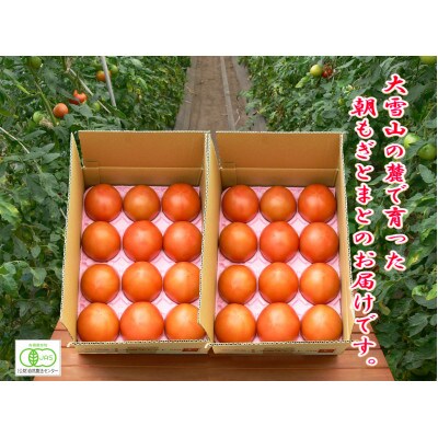 農家直送　大雪山の麓で育った有機栽培とまと2kg×2箱(20～30個程度)_02153