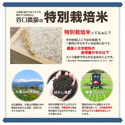 【2024年4月下旬発送】令和5産 ゆめぴりか・おぼろづき　白米2kgx2_00439