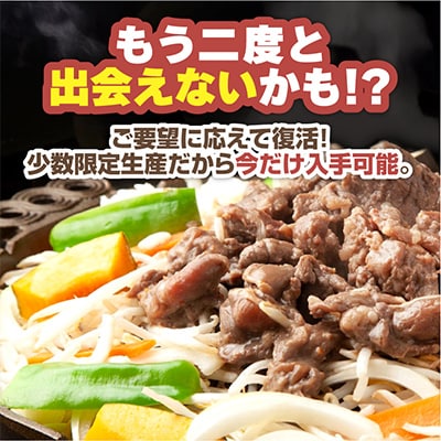 あの味が復活!復刻版”ホルジン”500g×2_00158