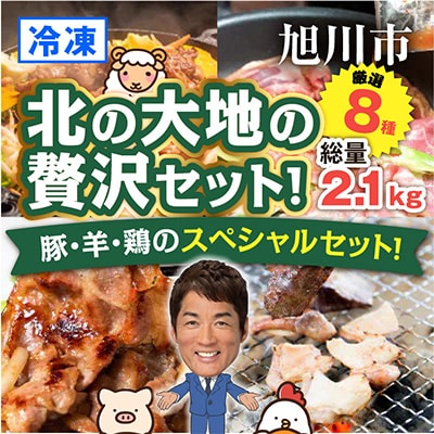 豚・羊・鳥のスペシャルセット!(8品・総量2.1キロ)_00572