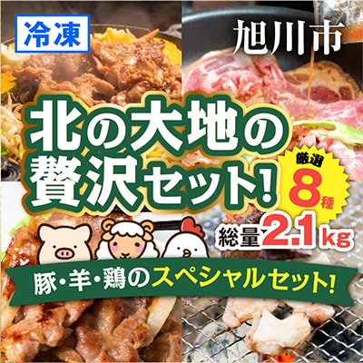 豚・羊・鳥のスペシャルセット!(8品・総量2.1キロ)_00572