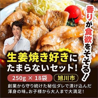 生姜焼き好きにたまらないセット!(250g×18袋)_01012