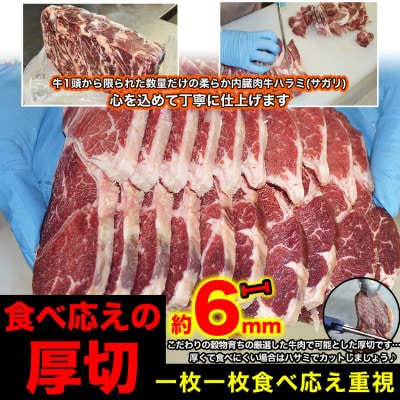 厚切り!牛ハラミ(サガリ) 600g×2袋 合計1.2kg_03637