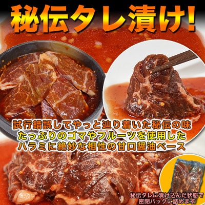 厚切り!牛ハラミ(サガリ) 600g×2袋 合計1.2kg_03637