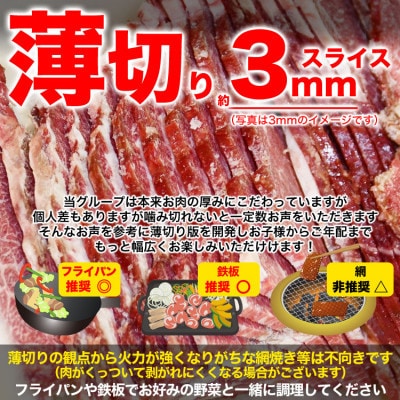 薄切り 秘伝の味付き 牛ハラミ 500g×2袋 1kg 焼肉 小分け_04837