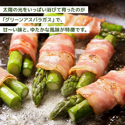 【先行受付】2025年7月より発送予定「夏収穫　グリーンアスパラ」　Lサイズ　約1kg_00414
