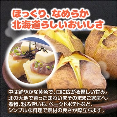2025年度 新じゃが 予約 北海道産 じゃがいも　(北あかり)　5kg_00416