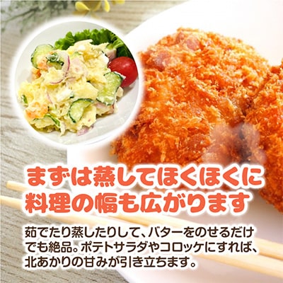 2025年度 新じゃが 予約 北海道産 じゃがいも　(北あかり)　5kg_00416