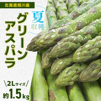 【先行受付】2025年7月より発送予定「夏収穫グリーンアスパラ」2Lサイズ約1.5kg_00415