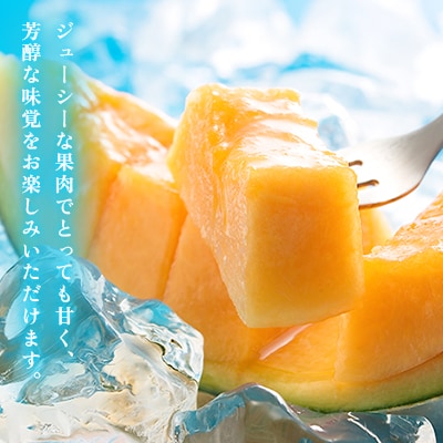 【先行受付】2025年産　北海道赤肉メロン(約1.3kg×2玉)_01381