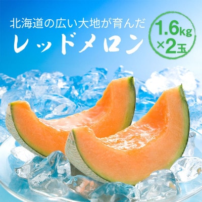 【先行受付】2026年産 北海道赤肉メロン (約1.6kg×2玉)_01381