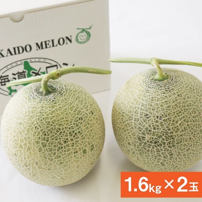 【先行受付】2026年産 北海道赤肉メロン (約1.6kg×2玉)_01381