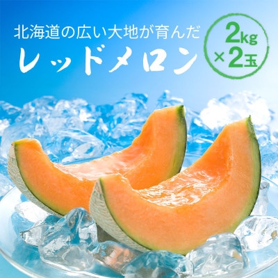 【先行受付】2026年産 北海道赤肉メロン (約2kg×2玉)_04541