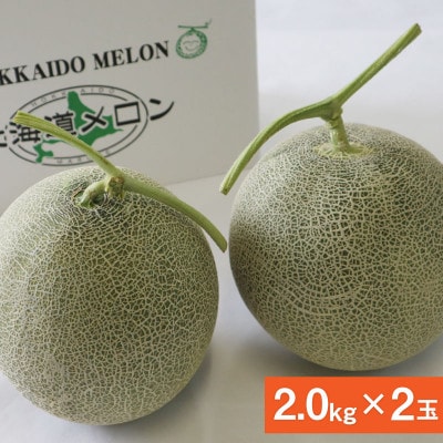 【先行受付】2026年産 北海道赤肉メロン (約2kg×2玉)_04541