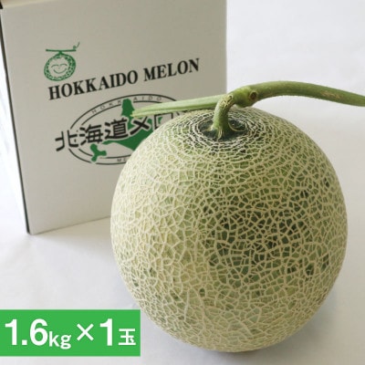 【先行受付】2026年産 北海道赤肉メロン (約1.6kg×1玉)_05410