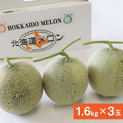 【先行受付】2026年産 北海道赤肉メロン (約1.6kg×3玉)_05411