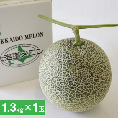 【先行受付】2026年産 北海道赤肉メロン (約1.3kg×1玉)_05408
