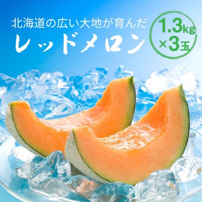 【先行受付】2026年産 北海道赤肉メロン (約1.3kg×3玉)_05409