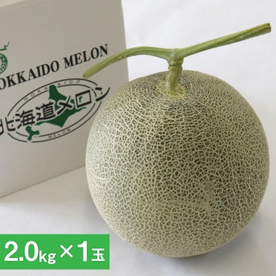 【先行受付】2026年産 北海道赤肉メロン (約2kg×1玉)_05412