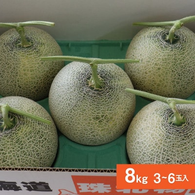 【先行受付】2026年産 北海道赤肉メロン 8kg (3玉～6玉)_05413