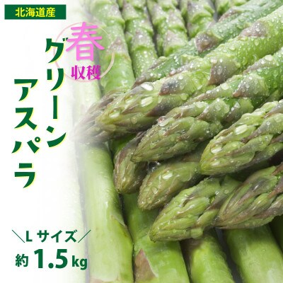 2026年発「春収穫グリーンアスパラ」Lサイズ (500g×3) 約1.5kg_05530