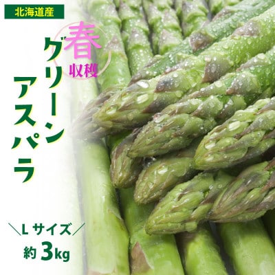 2026年発「春収穫グリーンアスパラ」Lサイズ (500g×6) 約3kg_05533