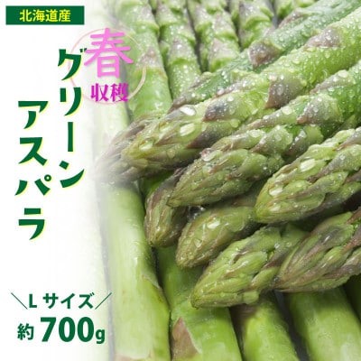 2026年発送「春収穫グリーンアスパラ」Lサイズ　約700g_04558