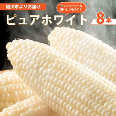 【先行受付】2026年　甘くジューシーな白いとうもろこし8本(ピュアホワイト)_04559