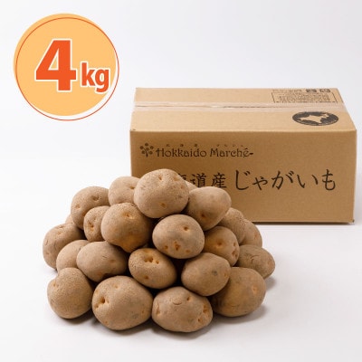 2026年収穫 北海道産　じゃがいも　(北あかり)　4kg_04563