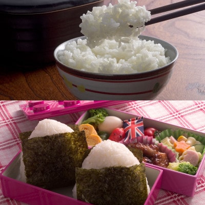 令和8年産 先行予約 俺のこだわり米『佐々木農園のあさひかわ米　ゆめぴりか2kg』精米_05688