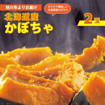 2026年秋収穫 早期予約 北海道産 かぼちゃ 2玉_05689