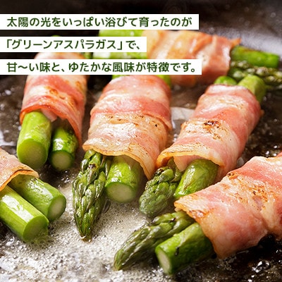 【訳あり】2026年発送 春収穫北海道産グリーンアスパラ 約1.0kg(S～2L混合)_05955