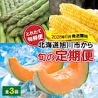 【発送月固定定期便】2026年6月発送開始とれたて旬鮮便北海道旭川市から旬の定期便01107_全3回