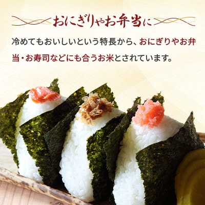 令和7年産特Aランク 無洗米 旭川産ななつぼし5kg_05450