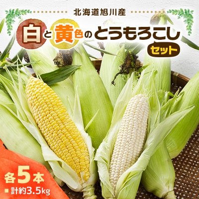 【2025年8月上旬発送開始】旭川産　白と黄色のとうもろこしセット_00094