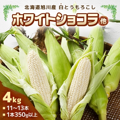 【2025年8月上旬発送開始】旭川産白とうもろこしホワイトショコラ他4kg11～13本_00093