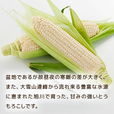 【2025年8月上旬発送開始】旭川産白とうもろこしホワイトショコラ他4kg11～13本_00093