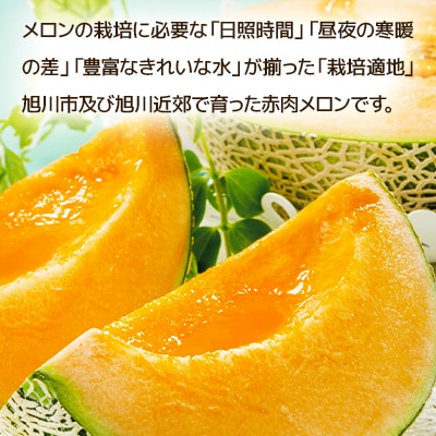 【2025年6月下旬発送開始】旭川発!北海道の赤肉メロン2玉_01102