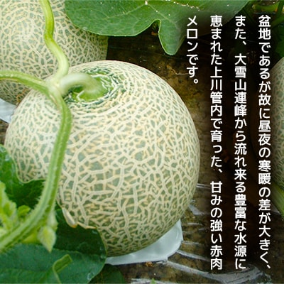 【2025年6月下旬発送開始】旭川発!北海道の赤肉メロン2玉_01102