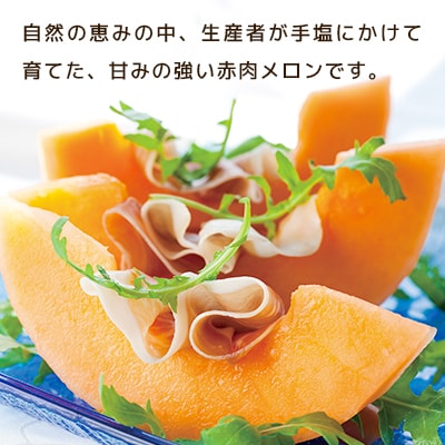 【2025年6月下旬発送開始】旭川発!北海道の赤肉メロン2玉_01102