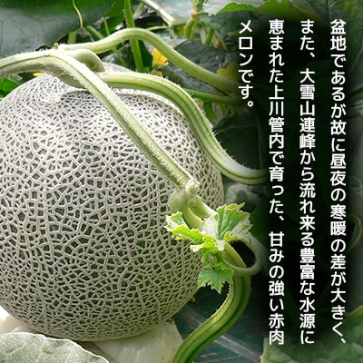 【2025年7月上旬発送開始】旭川発!北海道の赤肉メロン約8kg(4～6玉)_01103