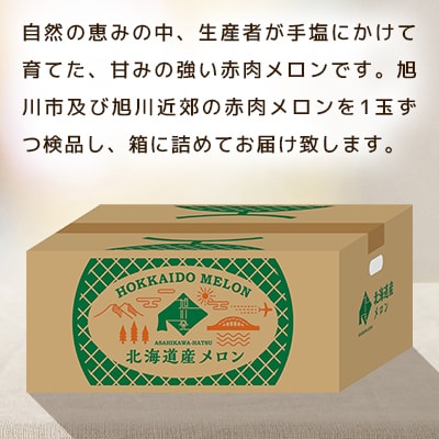 【2025年7月上旬発送開始】旭川発!北海道の赤肉メロン約8kg(4～6玉)_01103
