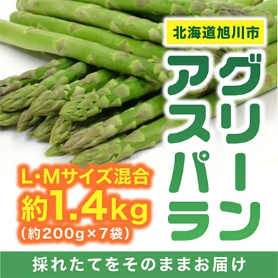【先行受付】便利な小分け袋入 グリーンアスパラL・Mサイズ混合約1.4kg約200g×7_01380