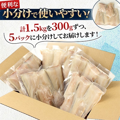 【訳あり品!】北海道産 一夜熟成 塩ほっけ切り身詰め合わせ 【合計1.5kg】_05407